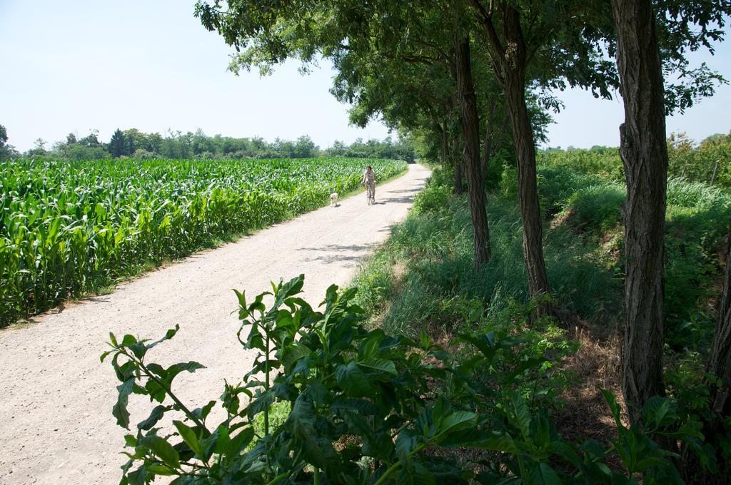 مبيت وإفطار Vittuone Cascina Delle Mele المظهر الخارجي الصورة